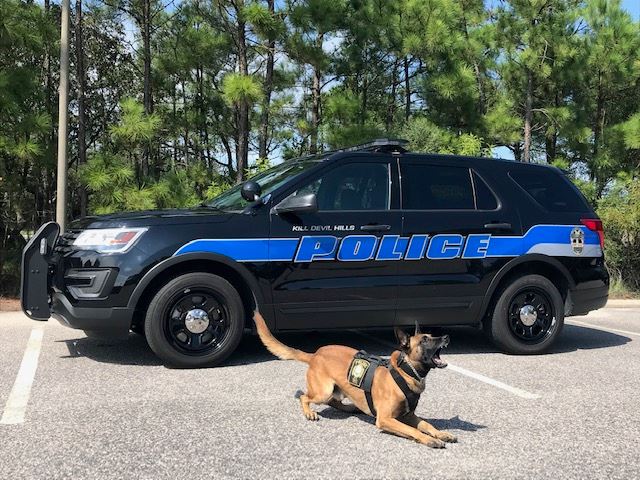 k9 Officer Zar with Police Vehicle 
