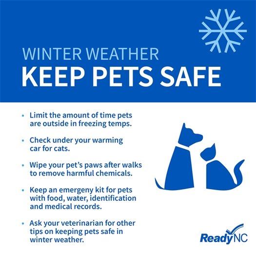 Keeping Pets Safe in Winter Weather Graphic