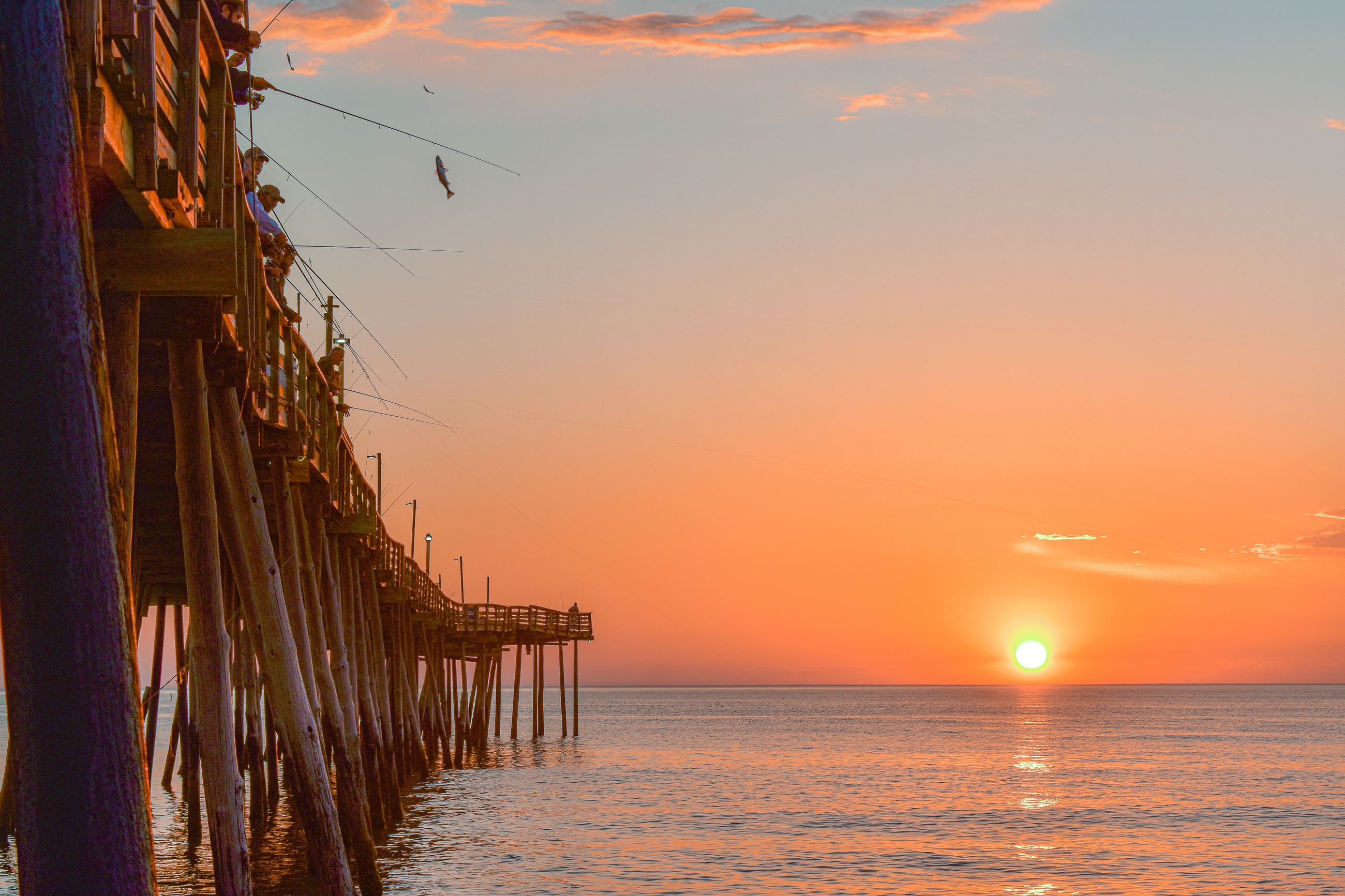 fishing from the Avalon Pier