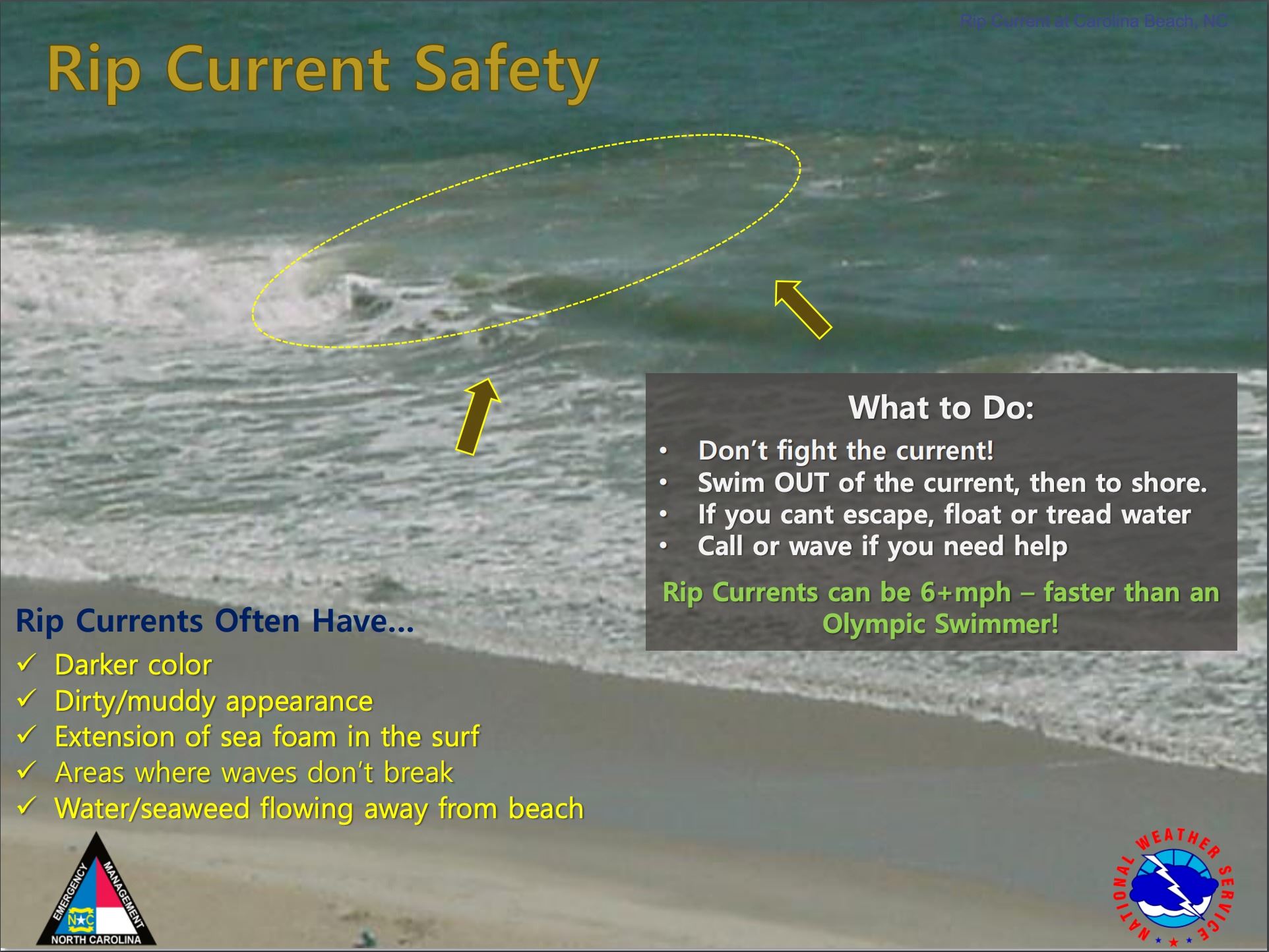 Rip current safety information