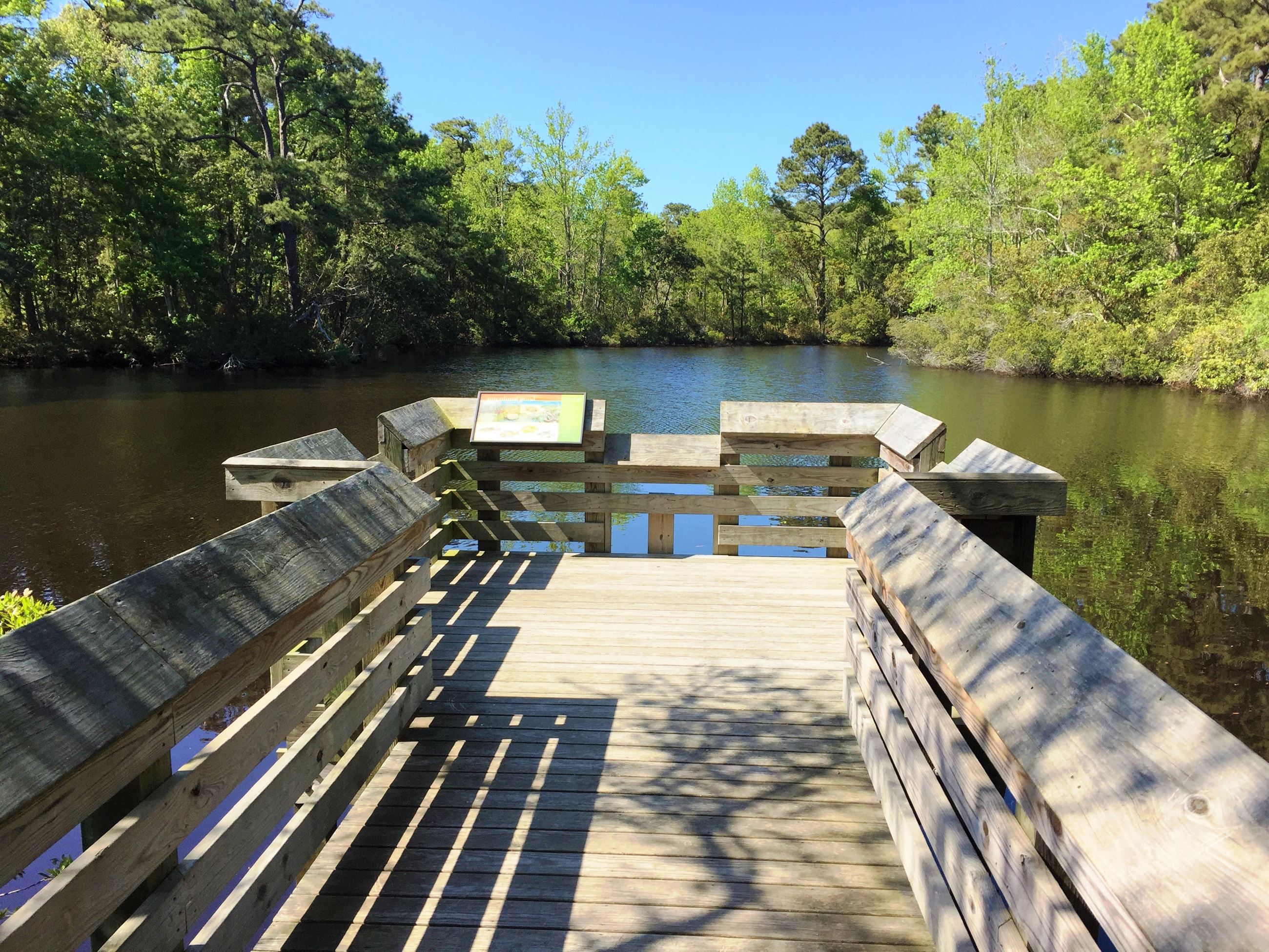 Nags Head Woods Trail 